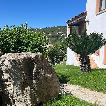 Villa Antonella Apartments Olbia Exterior photo